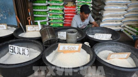Thiếu gạo, Indonesia tìm cách đa dạng hoá nguồn lương thực