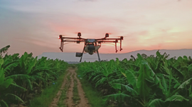 Thaco Agri báo lãi gần 42 tỷ đồng năm 2023