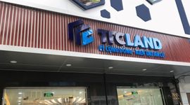 Liên tiếp dừng hoạt động 3 công ty con, TTC Land đang làm ăn ra sao?