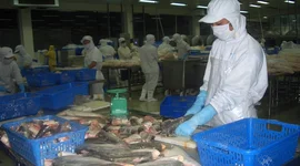 Tháng 6, kim ngạch xuất khẩu thủy sản đạt mức cao nhất kể từ đầu năm
