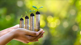 Không phải FPT, một cổ phiếu trong VN30 đã đạt mức sinh lời trên 80%