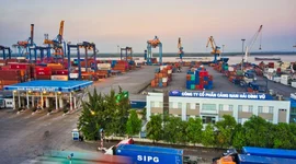 Viconship hoàn tất thâu tóm Cảng Nam Hải Đình Vũ