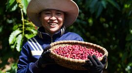 Nguồn cung khan hiếm giúp một nông sản chiến lược của Việt Nam liên tiếp xô đổ các đỉnh giá cũ