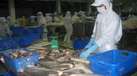 Thị trường tỷ dân rất chuộng nhóm hàng thủy sản tươi sống từ Việt Nam