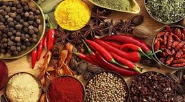 Xuất khẩu hồ tiêu dự báo giảm