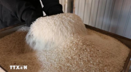 Lượng gạo tồn kho của Nhật Bản thấp kỷ lục