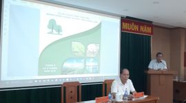 Cần bộ tiêu chuẩn chung cho loại trái cây có kim ngạch xuất khẩu tỷ đô