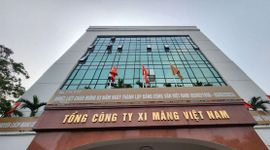 Bộ Tài chính thanh tra VICEM và 3 công ty con