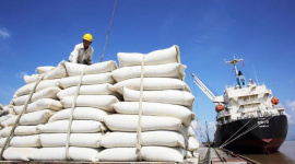 Giá gạo trong nước đang cao hơn giá nhập khẩu của thương nhân Philippines