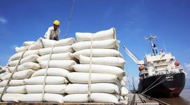 Giá gạo trong nước đang cao hơn giá nhập khẩu của thương nhân Philippines