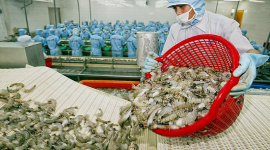 Thông tin tích cực về nền kinh tế Mỹ có giúp xuất khẩu tôm Việt khả quan hơn?