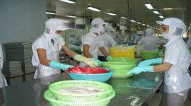 Kim ngạch xuất khẩu cá tra tháng 7 tăng trưởng 2 con số