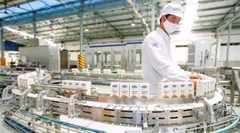 Sau nhịp tăng mạnh nhất năm 2024, cổ phiếu VNM có thể hướng đến chặng nghỉ trong ngắn hạn
