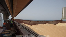 Giá gạo Ấn Độ và Thái Lan đồng loạt tăng