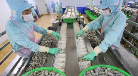 Xuất khẩu thị trường gần, doanh nghiệp thủy sản có nhiều lợi thế