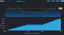 Thị trường thử thách sự kiên nhẫn của nhà đầu tư