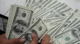 Đồng USD chịu áp lực trước triển vọng Fed hạ lãi suất
