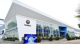 Vinamilk: Chuẩn bị bước chu kỳ tăng trưởng mới, hé lộ thời điểm chạy thương mại nhà máy chế biến thịt bò