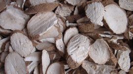 Ngành sắn bắt đầu vụ mới, thị trường nhập khẩu chưa sẵn sàng