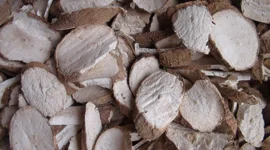 Ngành sắn bắt đầu vụ mới, thị trường nhập khẩu chưa sẵn sàng