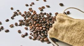 Ngành cà phê Việt Nam chịu nhiều áp lực