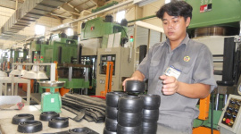 Ngành cao su đối mặt với hai vấn đề lớn