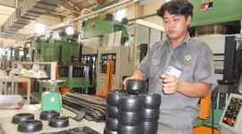 Ngành cao su đối mặt với hai vấn đề lớn