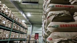 Giá gạo mới của Nhật Bản tăng cao giữa khủng hoảng thiếu hụt