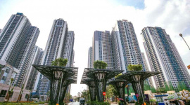 TNR Holdings báo lãi giảm sâu