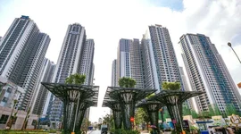 TNR Holdings báo lãi giảm sâu