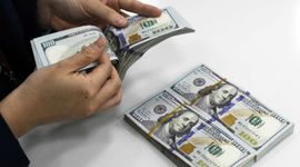 Kho bạc Nhà nước tiếp tục mua ngoại tệ