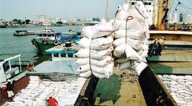 Kim ngạch xuất khẩu gạo tăng trưởng 2 con số