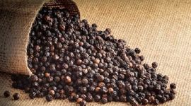 Giá nông sản xuất khẩu tăng, thủ đoạn lừa đảo mới trong buôn bán quốc tế càng tinh vi