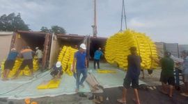 Ấn Độ mở cửa lại thị trường, xuất khẩu gạo Việt Nam có bị ảnh hưởng?