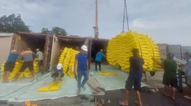 Ấn Độ mở cửa lại thị trường, xuất khẩu gạo Việt Nam có bị ảnh hưởng?