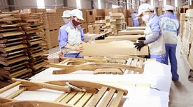 Doanh nghiệp xuất khẩu gỗ gặp lúng túng trong việc lập bản đồ định vị rừng trồng