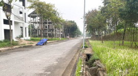 Đánh thuế bất động sản bỏ hoang luỹ tiến theo năm?