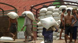 Nhu cầu nhập khẩu gạo từ Philippines tăng mạnh