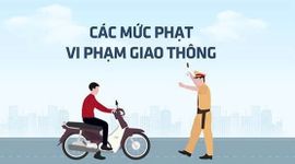 Cập nhật mức phạt vi phạm giao thông mới áp dụng từ 1/1/2025