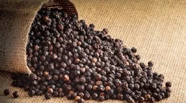 Hoa Kỳ là thị trường hồ tiêu lớn nhất của Việt Nam