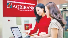 Agribank báo lợi nhuận trước thuế năm 2024 tăng trưởng hơn 8%
