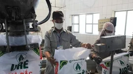 'Quả đấm thép' một thời báo lỗ gần 100 tỷ trong quý 3/2025 do ngừng máy dài ngày, lỗ lũy kế hơn 2.100 tỷ đồng