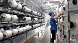 'Cú đấm' của tỷ giá khiến công ty sợi trên sàn giảm 87% lợi nhuận trong quý 3