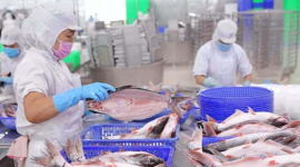 Quý 3/2025: "Nữ hoàng" cá tra Vĩnh Hoàn báo lãi tăng vọt 35%, "thoái" hơn trăm tỷ loạt cổ phiếu bất động sản