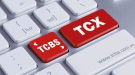69 cổ đông thông qua nội dung chia cổ tức kép 25% của Chứng khoán TCBS