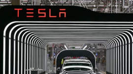 ‘Cơn đau đầu’ mới của Elon Musk: Doanh số giảm gần 1 nửa tại châu Âu khi thị trường xe điện chung tăng 26%