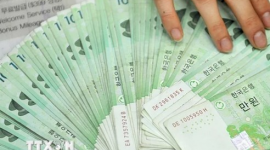 Xu hướng đầu tư năm 2026 của Doanh nghiệp lớn Hàn Quốc