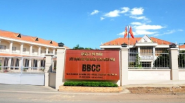 Công ty VLXD trên sàn muốn chia cổ tức tiền mặt tỷ lệ 40%