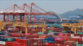 Mỹ miễn thuế đối với rong biển đã qua xử lý của Hàn Quốc