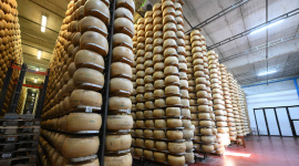 Gồng mình chống đỡ cú sốc từ chính sách thuế quan của Mỹ, kinh tế EU lao đao